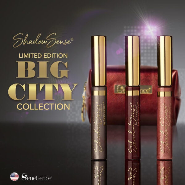 BigCitySS-corpcover
