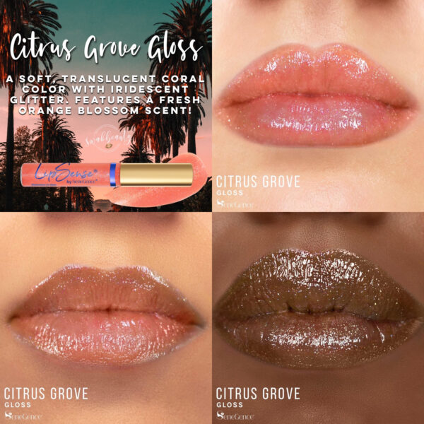 CitrusGroveGloss-4grid-corp